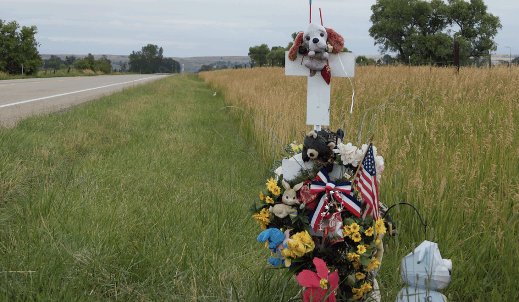 100 Deadliest Days – Teen Fatalities – Daniel Stark